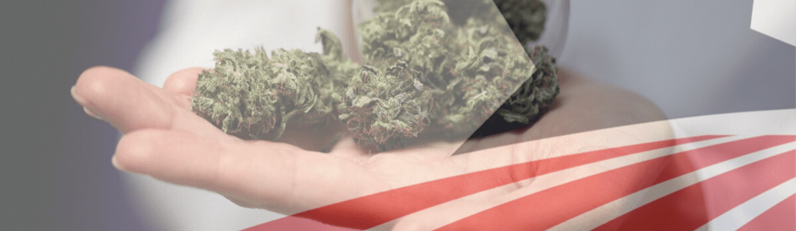 How Does Marijuana Affect an Immigration Case?